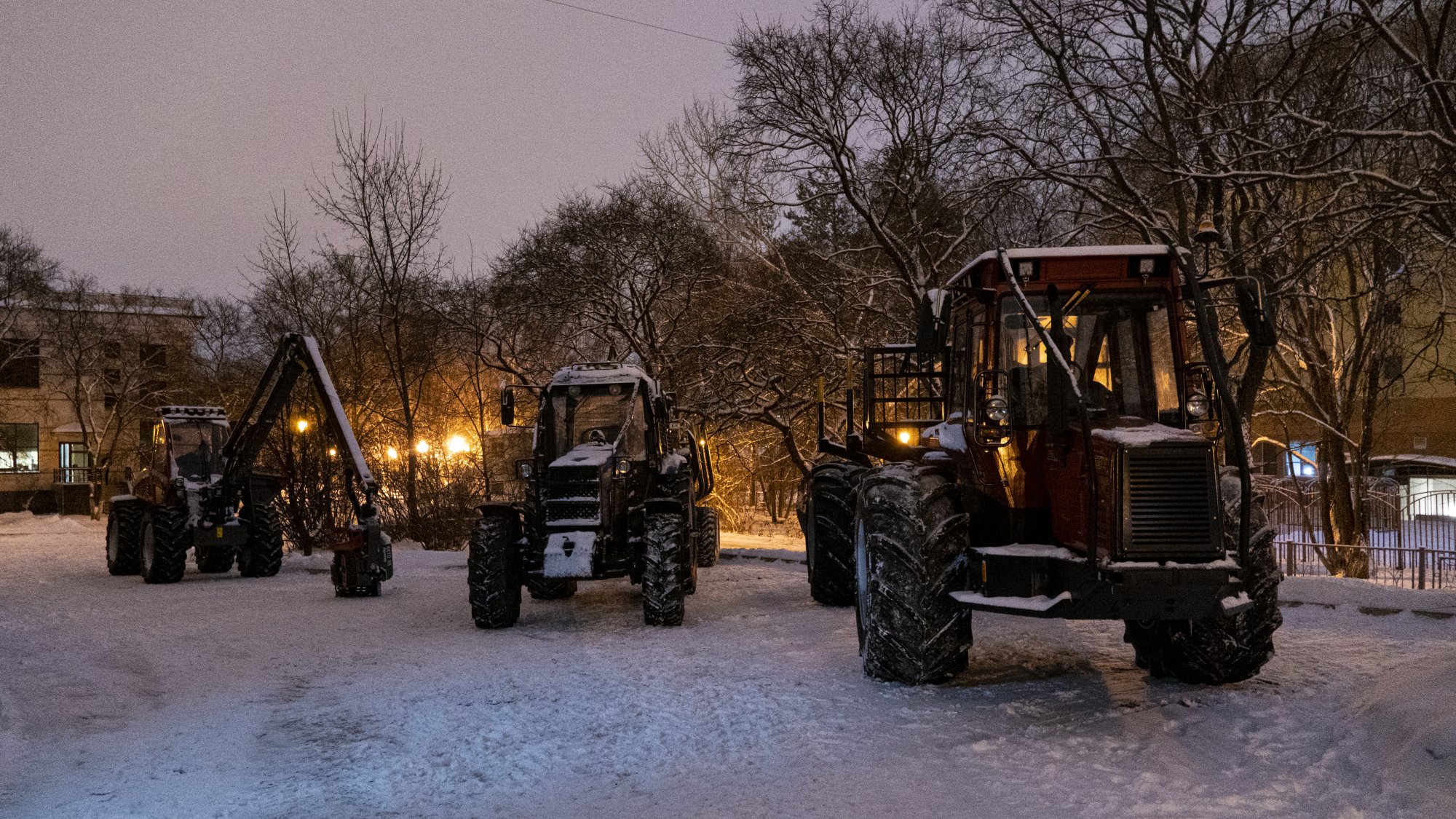 _DSC4313.jpg _DSC4313.jpg