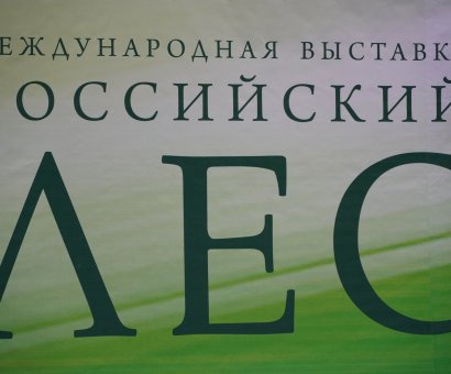 РОССИЙСКИЙ ЛЕС 2019